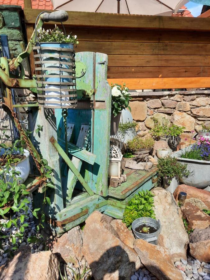Gaestewohnung Am Thuemmlitzwald Grimma Eksteriør bilde