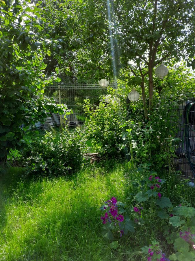 Gaestewohnung Am Thuemmlitzwald Grimma Eksteriør bilde